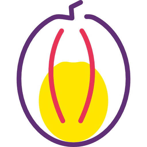 Pumpkin icon