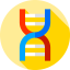 Dna icon 64x64