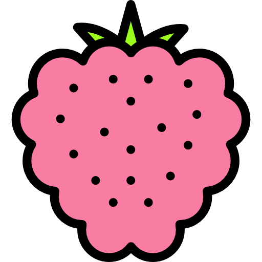 Raspberry icon