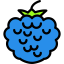 Berries Ikona 64x64