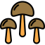 Mushrooms icon 64x64