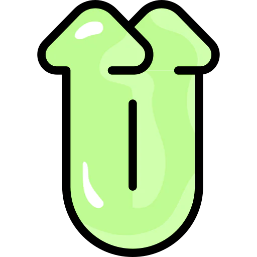 Double arrows icon