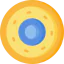 Shields biểu tượng 64x64