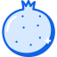 Pomegranate icon 64x64