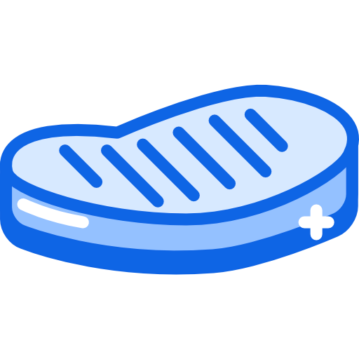 Steak icon