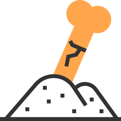 Bone icon