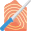 Salmon icon 64x64