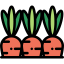 Carrots icon 64x64