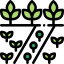 Planting icon 64x64