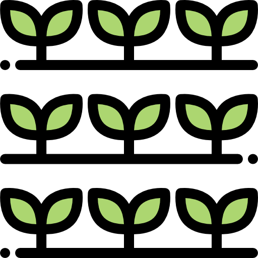 Sprout icon