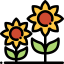 Sunflower icon 64x64