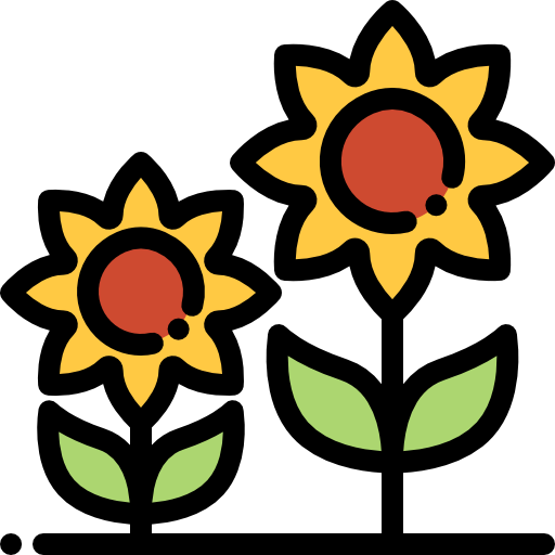 Sunflower icon