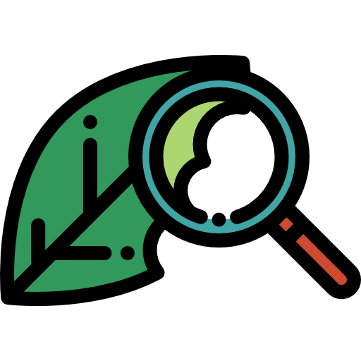 Leaf icon