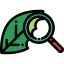 Leaf icon 64x64