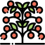 Tomato icon 64x64