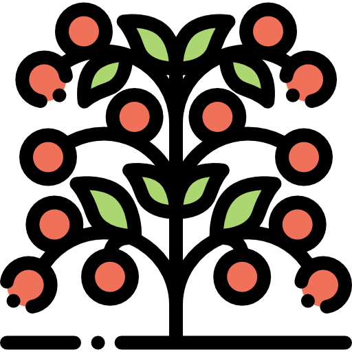 Tomato icon