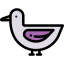 Duck icon 64x64
