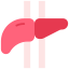 Liver Symbol 64x64
