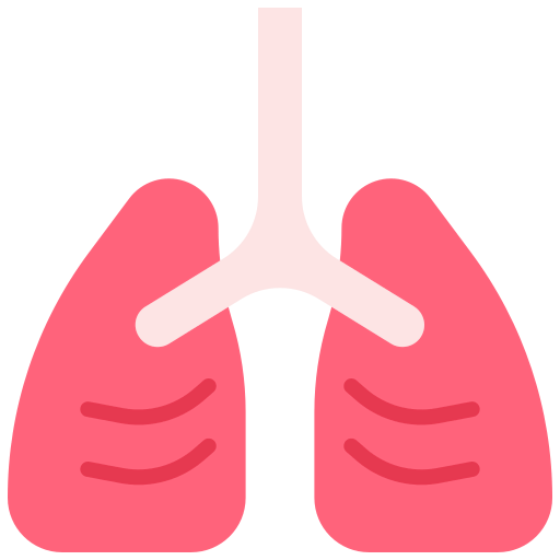 Lungs icon