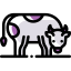 Cow icon 64x64