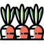 Carrots icon 64x64