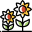 Sunflower icon 64x64