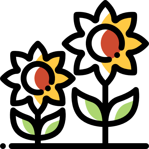 Sunflower icon