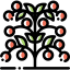 Tomato icon 64x64