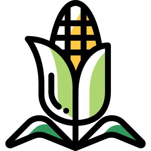 Corn icon