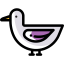 Duck icon 64x64