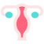 Uterus Symbol 64x64
