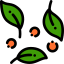 Salad icon 64x64