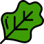 Salad icon 64x64