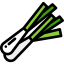 Onion icon 64x64