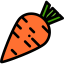 Carrot icon 64x64