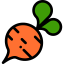 Beet icon 64x64