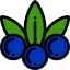Blueberry icon 64x64