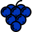 Grapes icon 64x64
