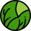 Lettuce icon 64x64