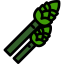 Asparagus icon 64x64