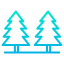 Pines Ikona 64x64