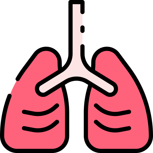 Lungs icon