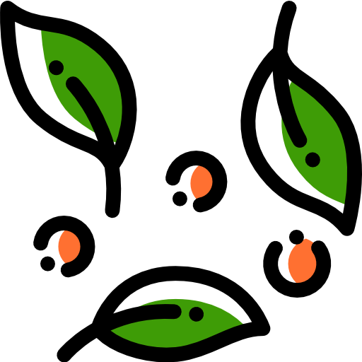 Salad icon
