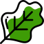 Salad icon 64x64