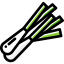 Onion icon 64x64