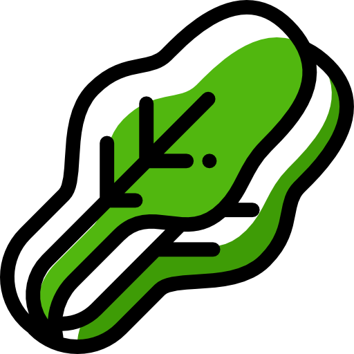Cabbage icon