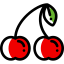 Cherry icon 64x64