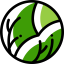 Lettuce icon 64x64