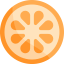 Orange slice іконка 64x64