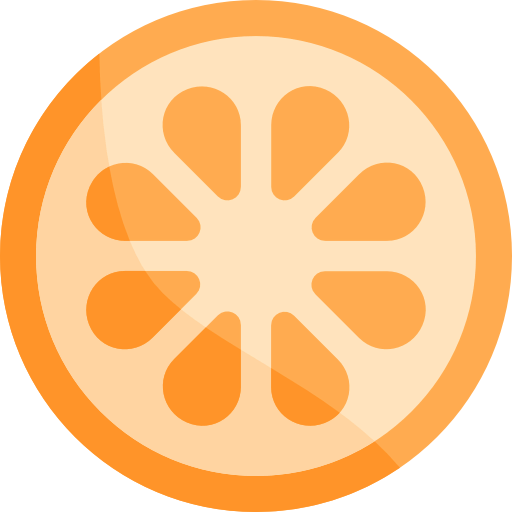 Orange slice icon